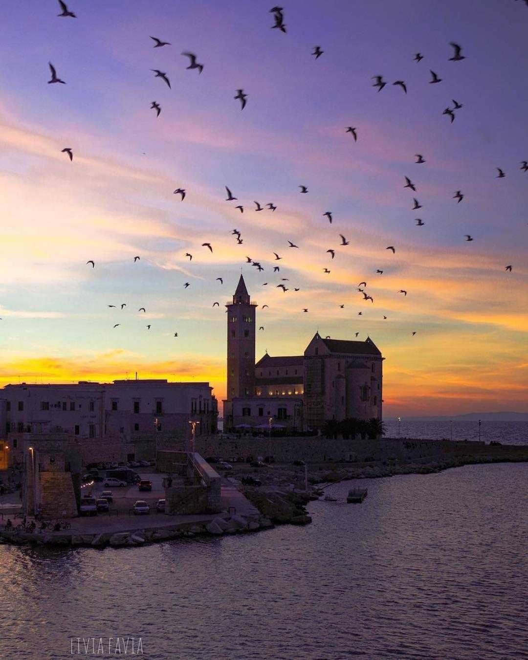 Bed and Breakfast La Soffitta Covelli Trani Exterior foto